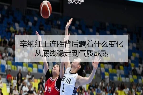 辛纳红土连胜背后藏着什么变化 从底线稳定到气质成熟 | ygrbuyu